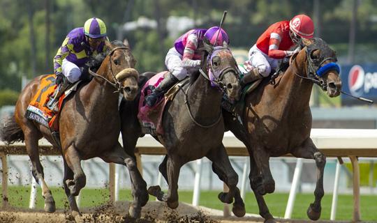 The Kentucky Derby | Top Stories by sportsbettinghandicapper.com